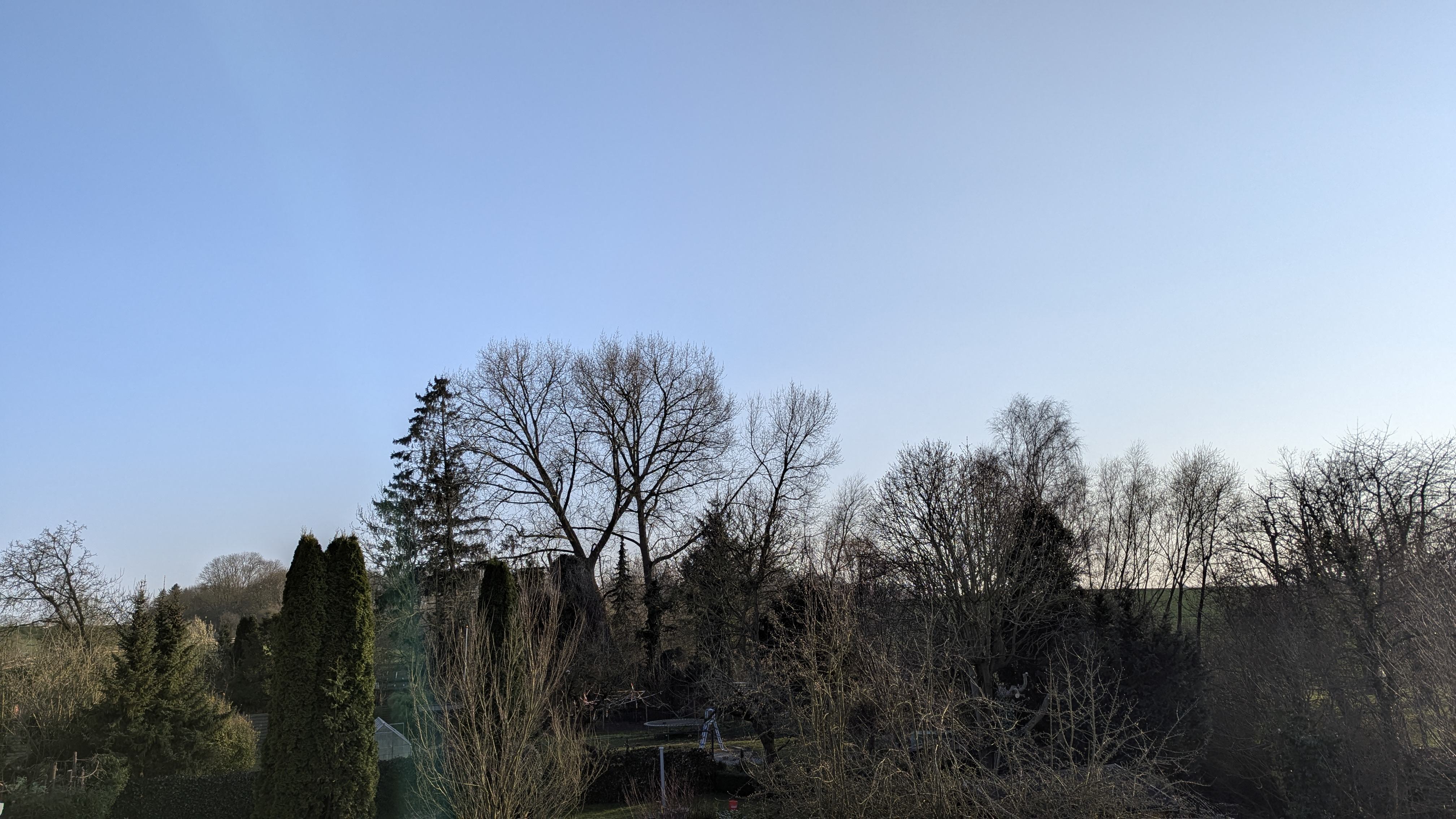1000069174.jpg