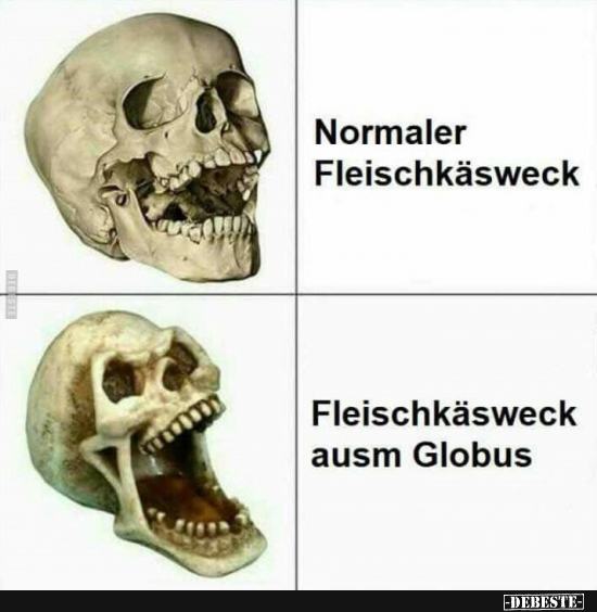 1743082499178.jpeg