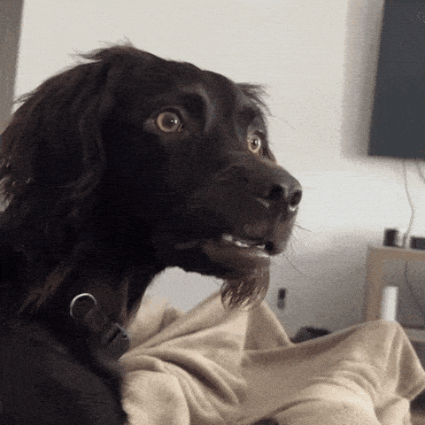 1745006306982.gif