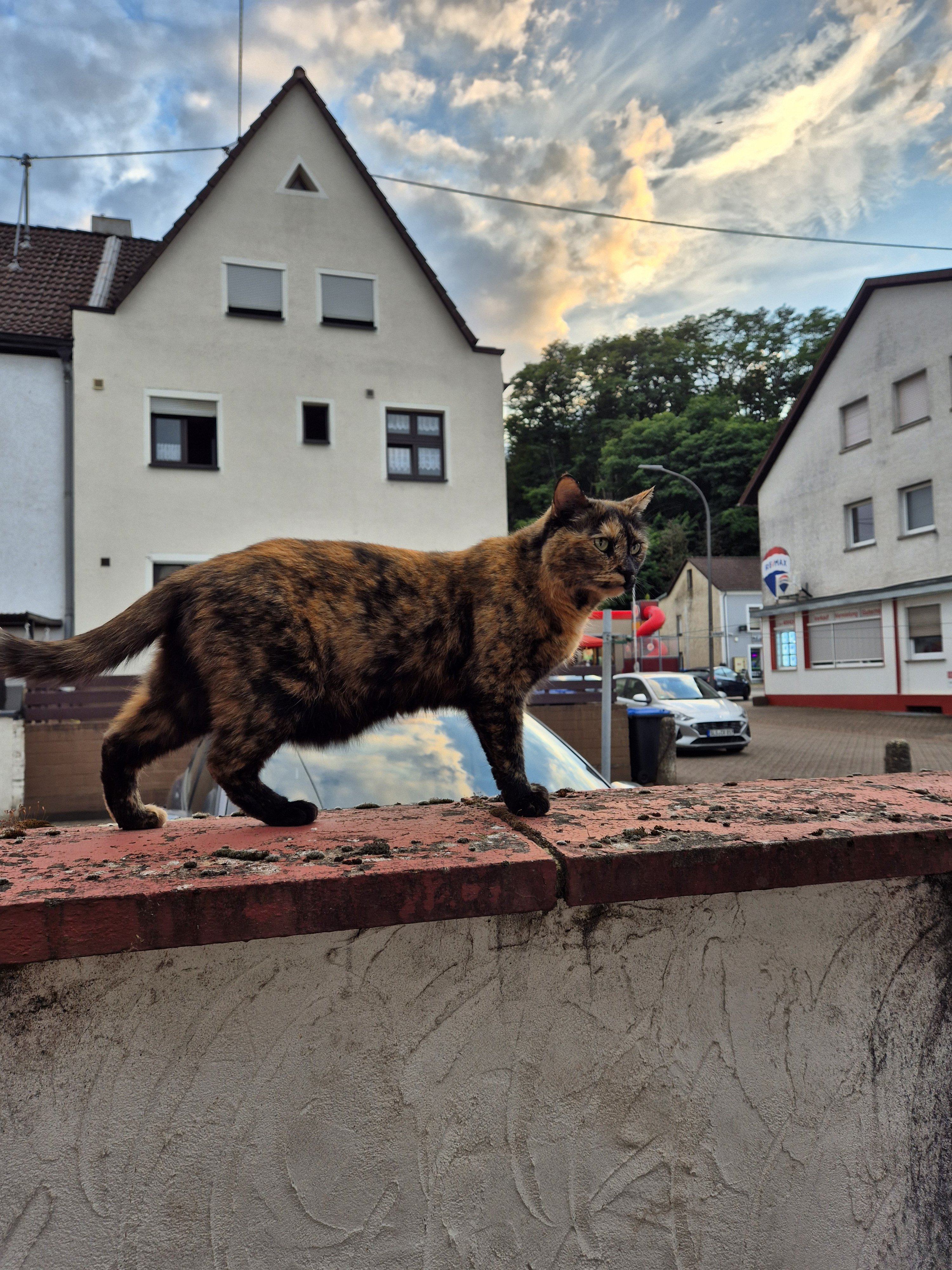 20240809_204106.jpg