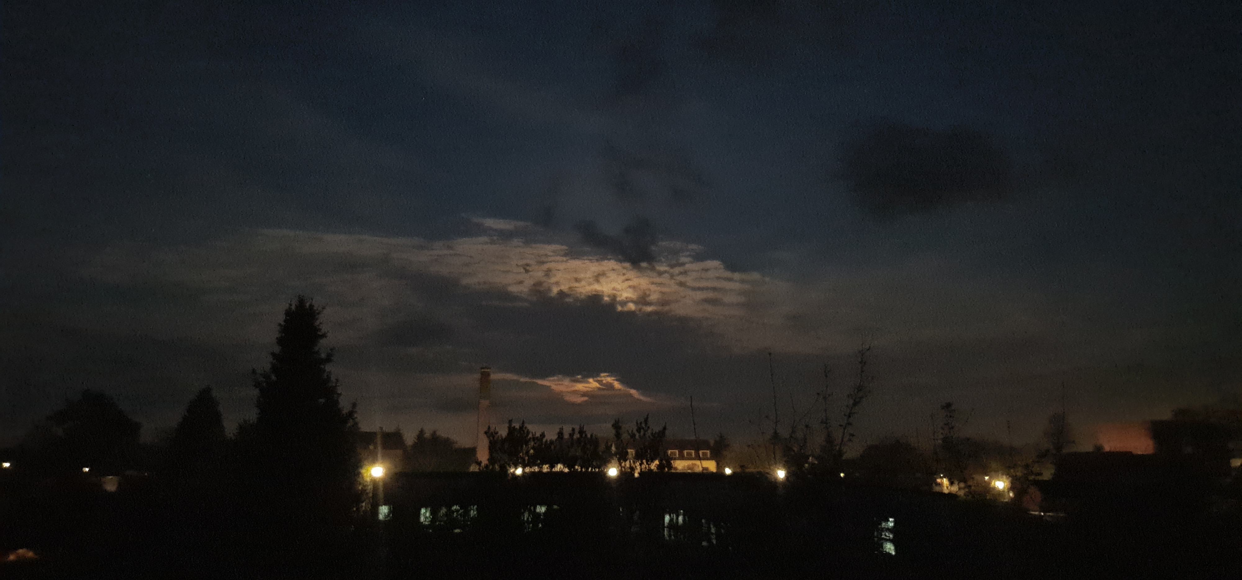 20250414_050831.jpg