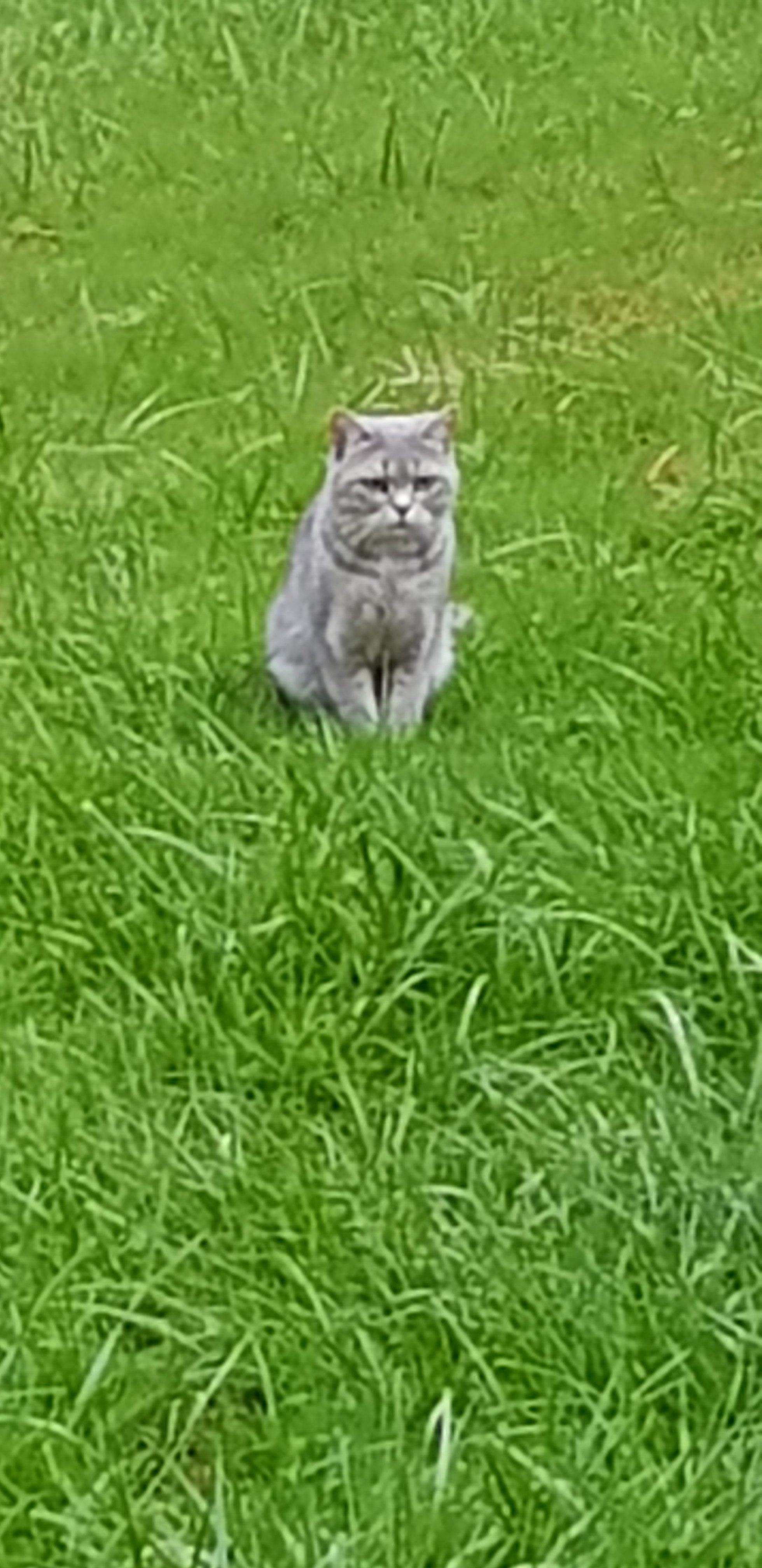 20250722_210711.jpg