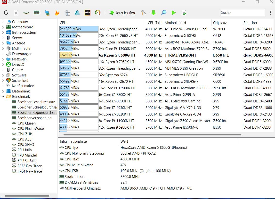 8600G aida copy.jpg