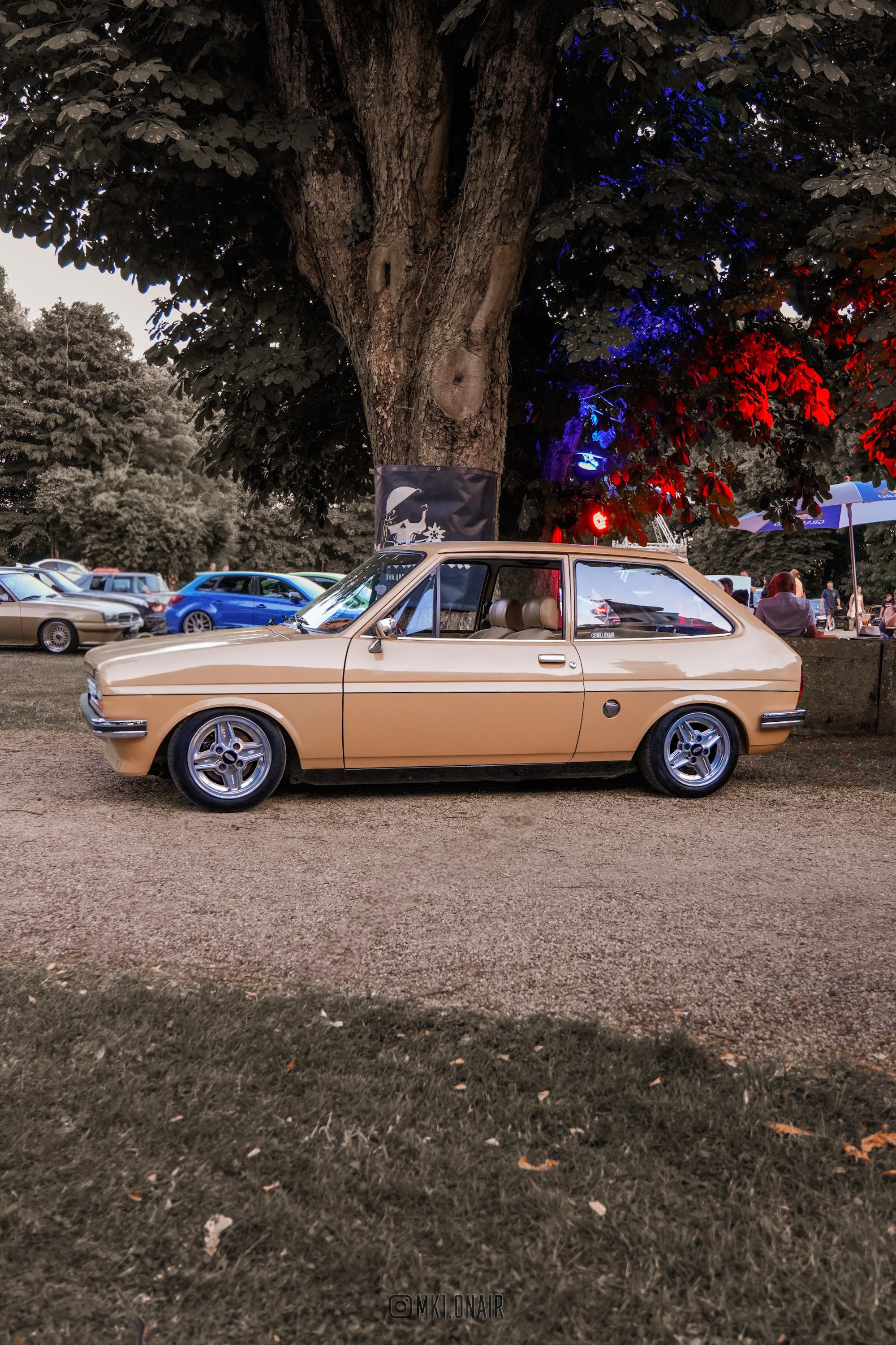 DSC02461(1) (1).jpg