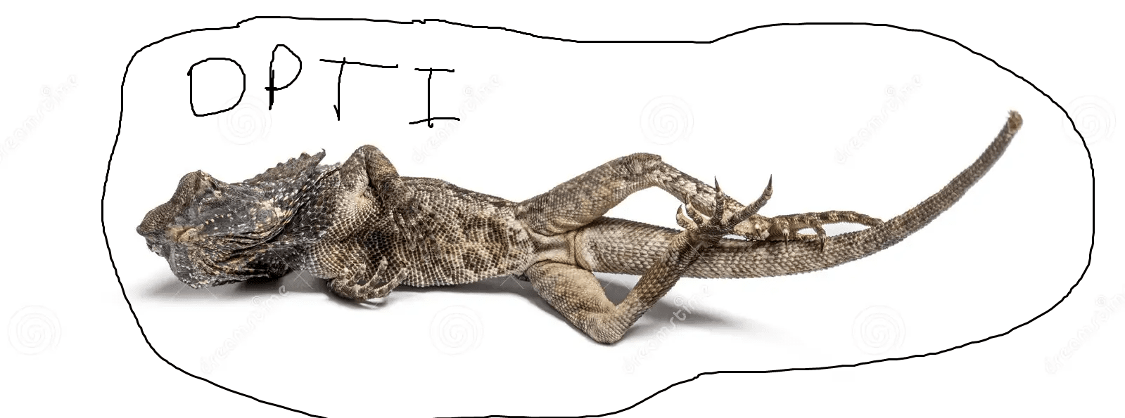 Eid-ExE.png