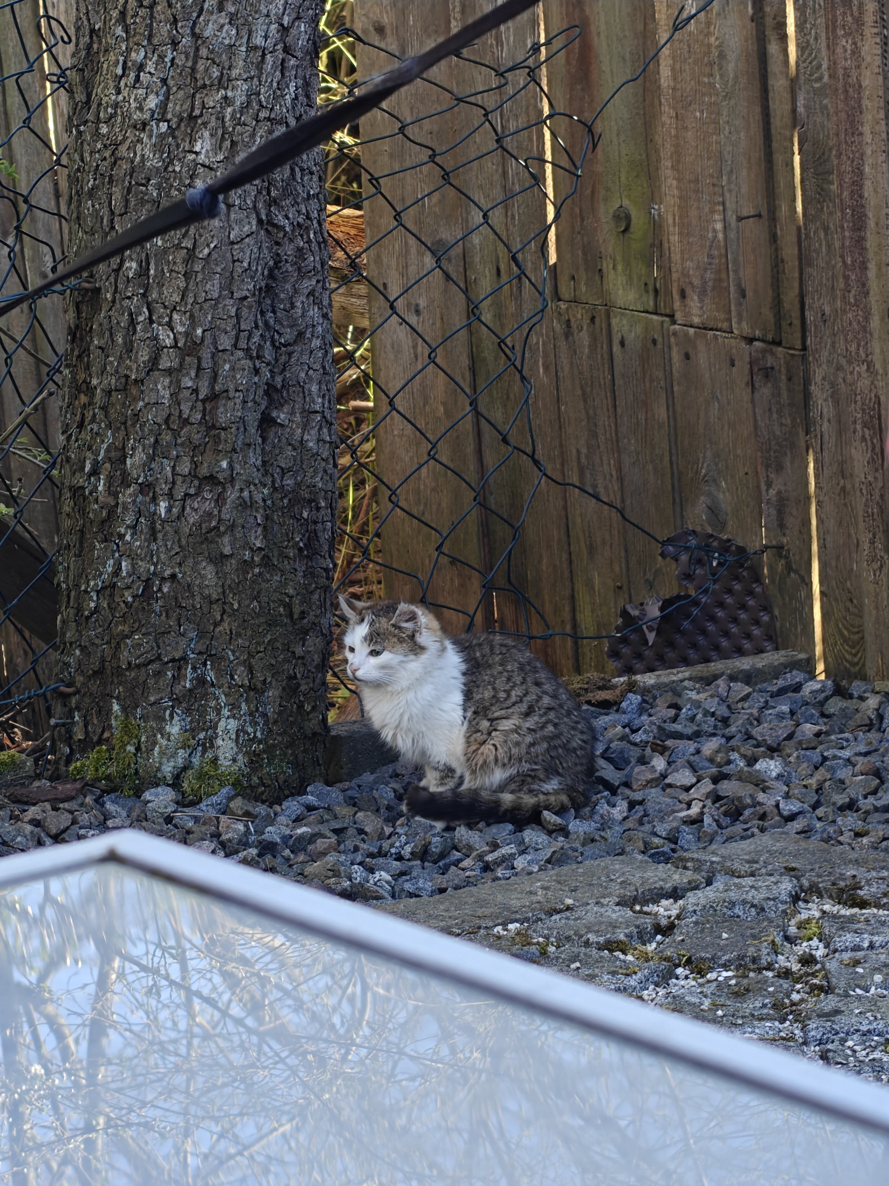 IMG20250404173356.jpg