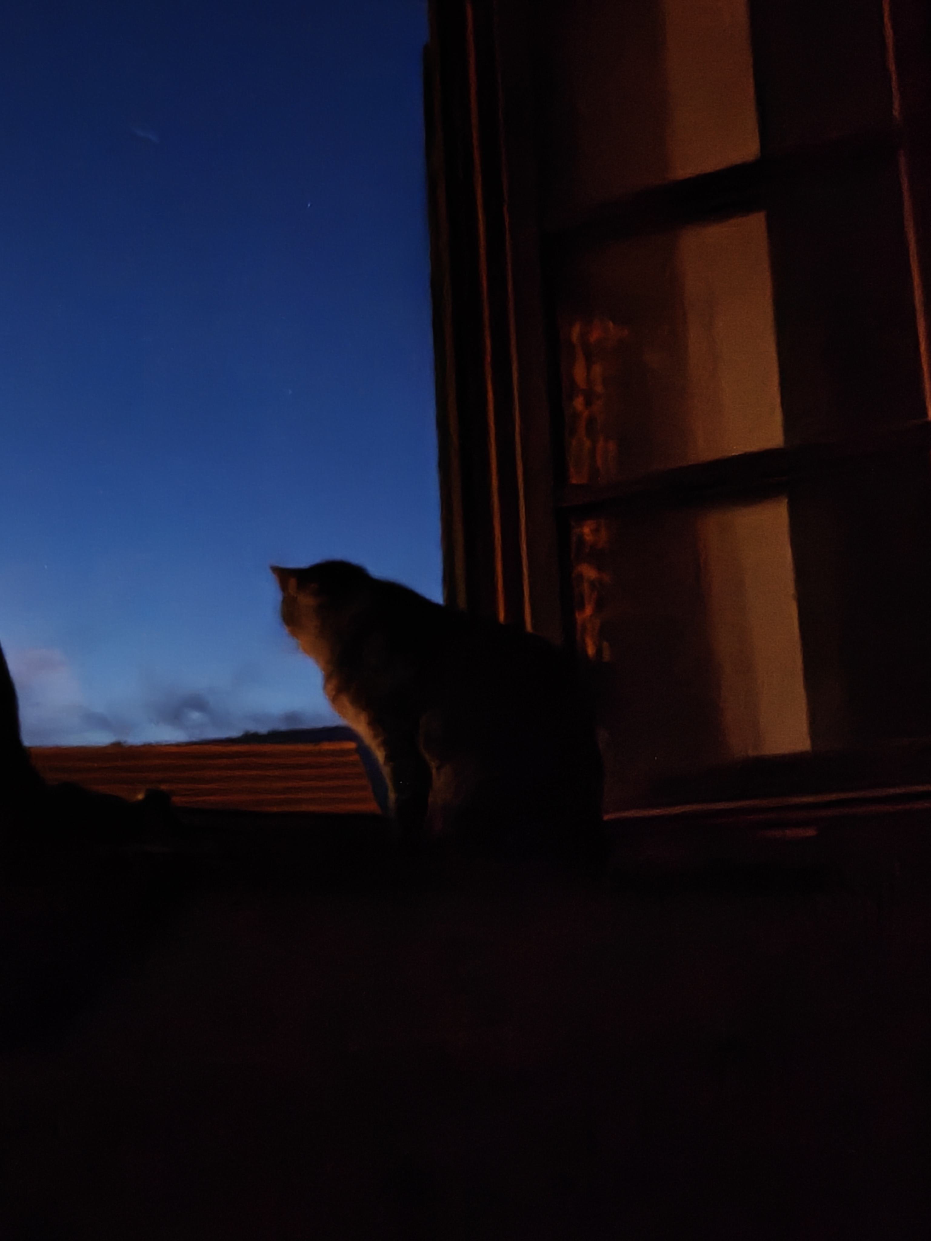 IMG20250721222901.jpg
