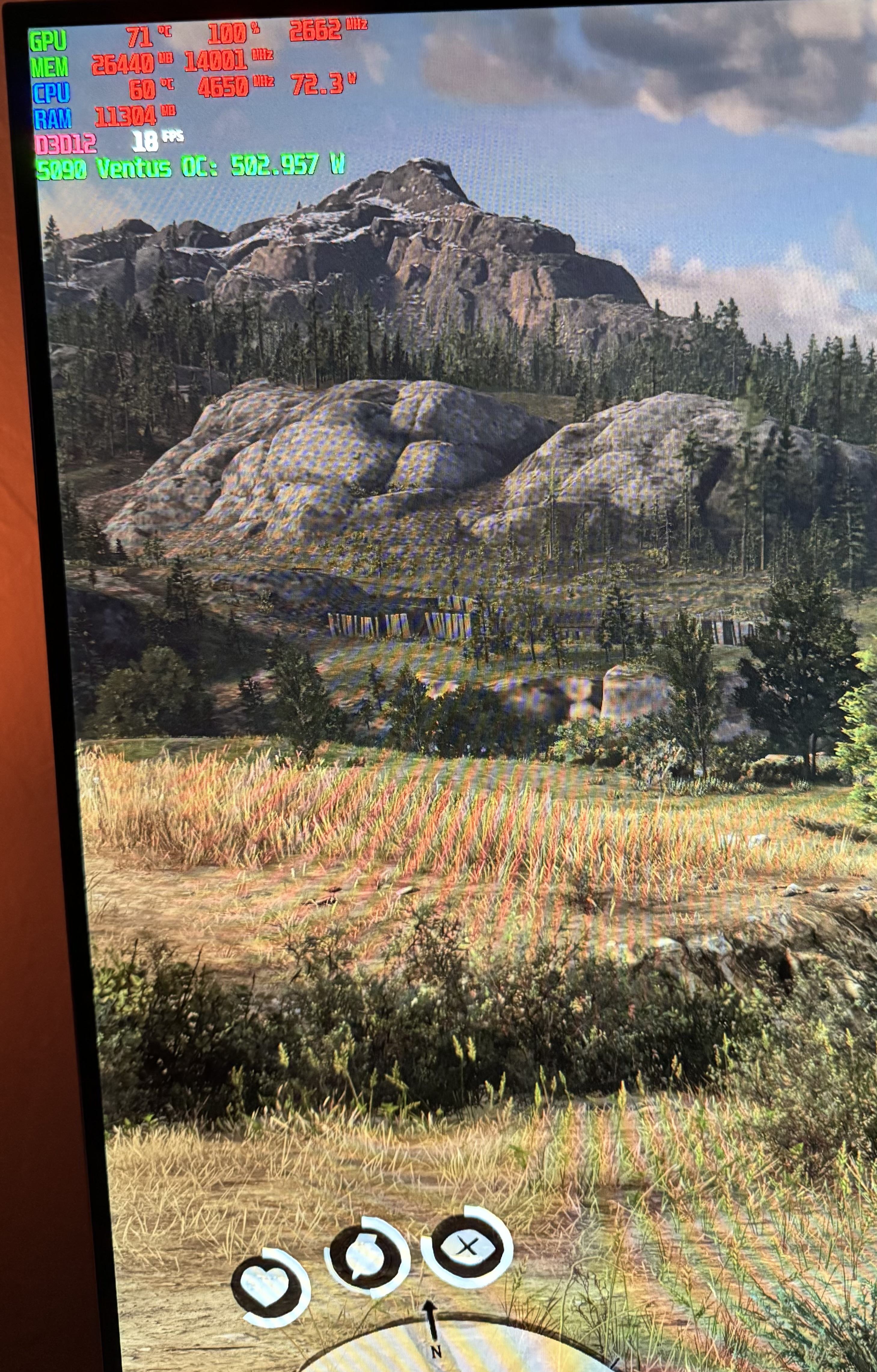 IMG_4353.jpeg