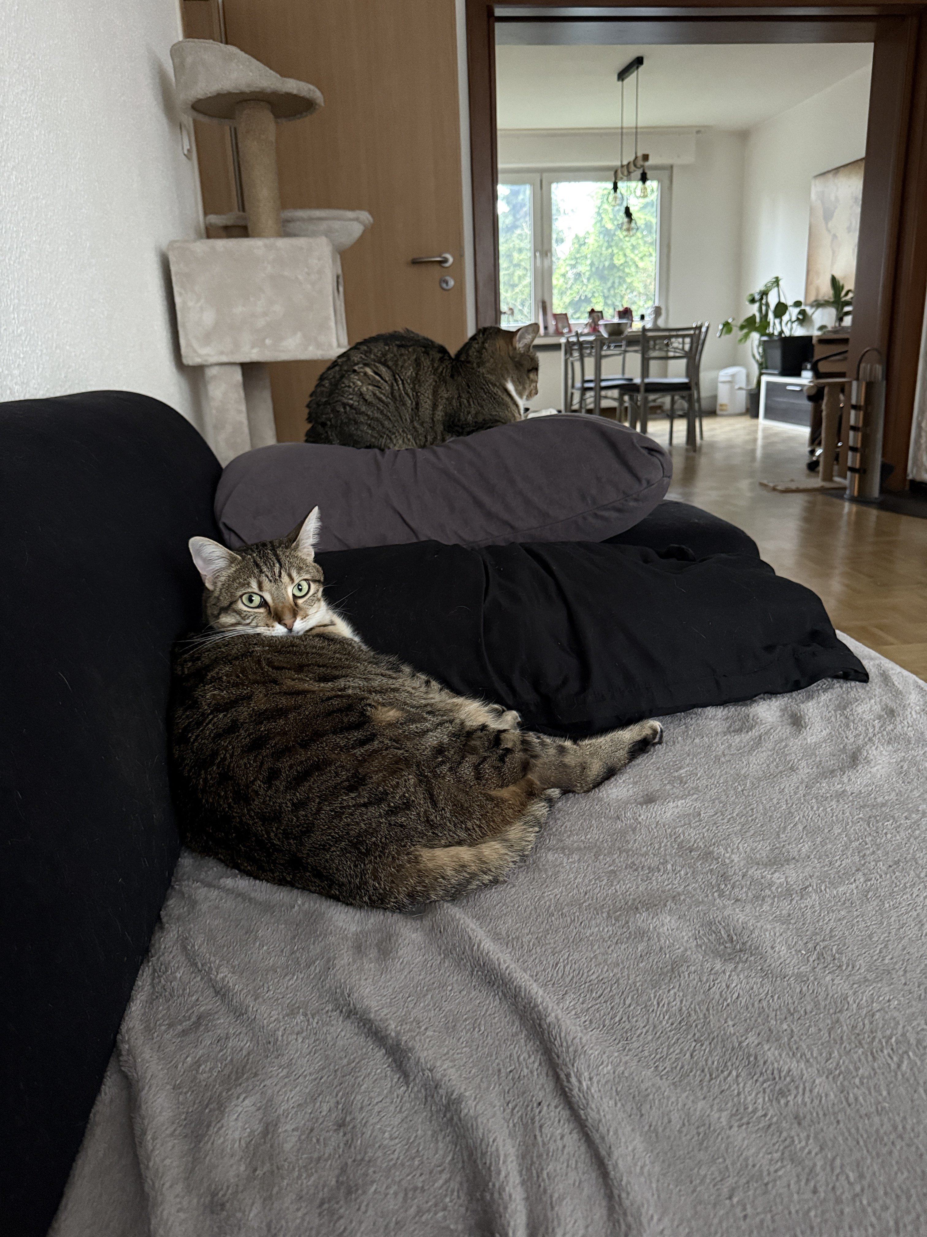 IMG_4476.jpeg