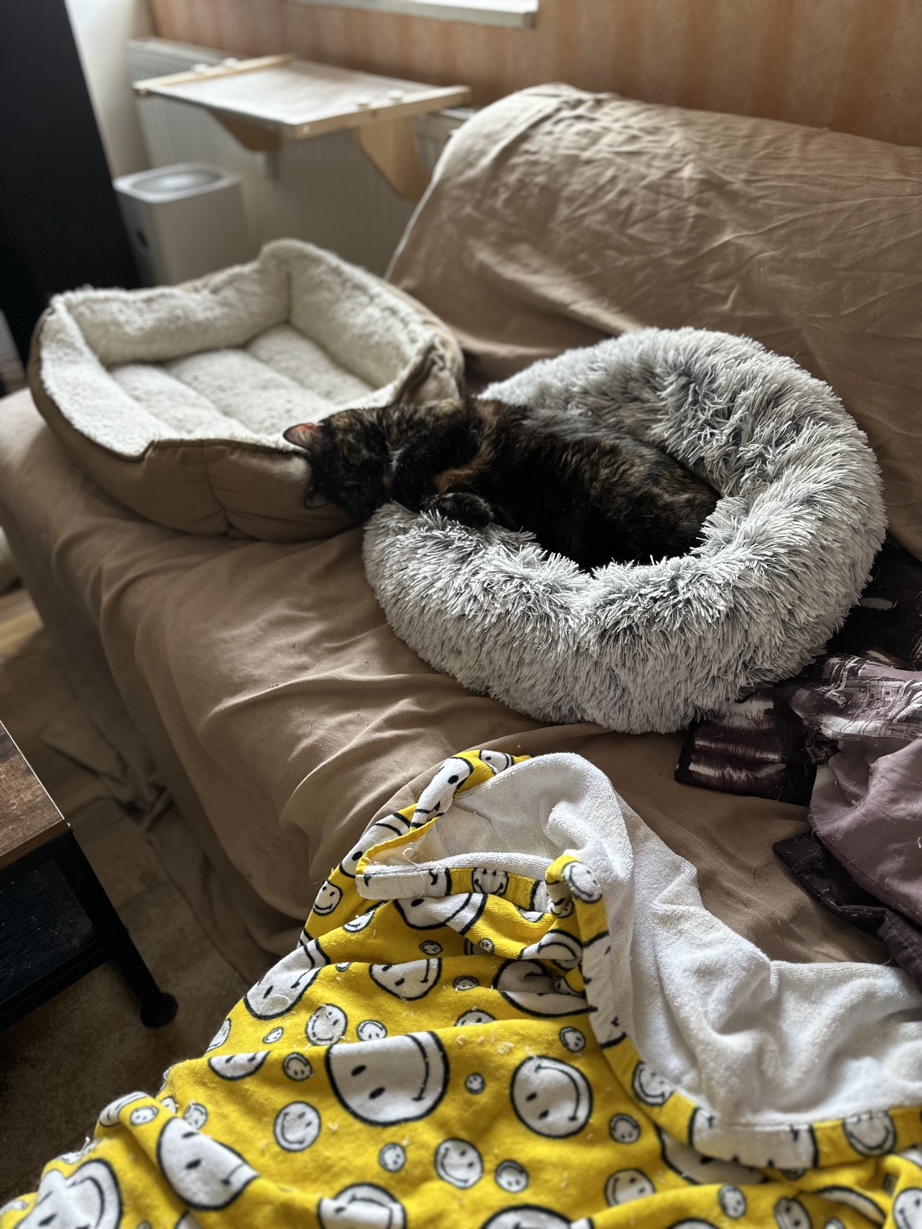 IMG_6718.jpeg
