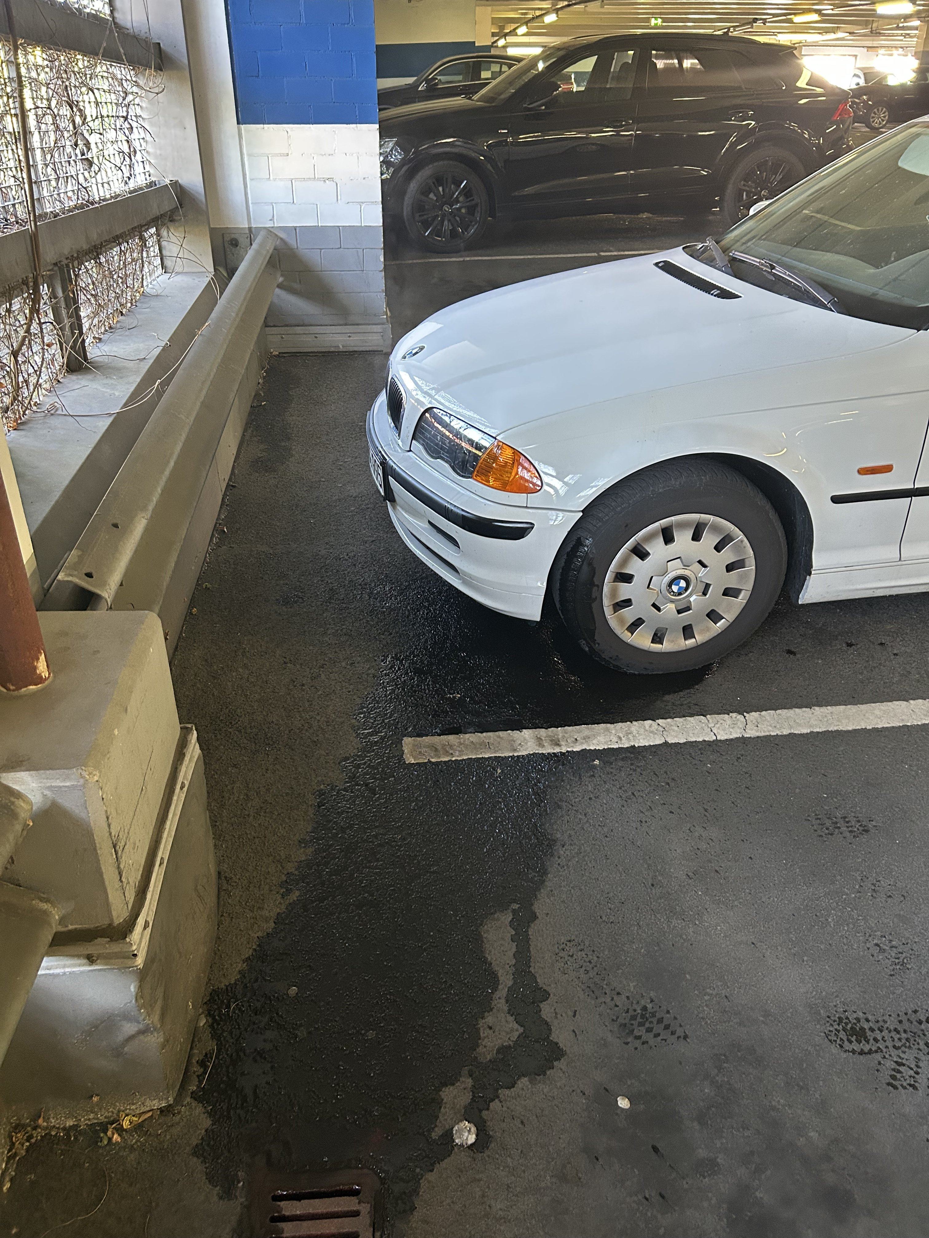 IMG_7084.jpeg