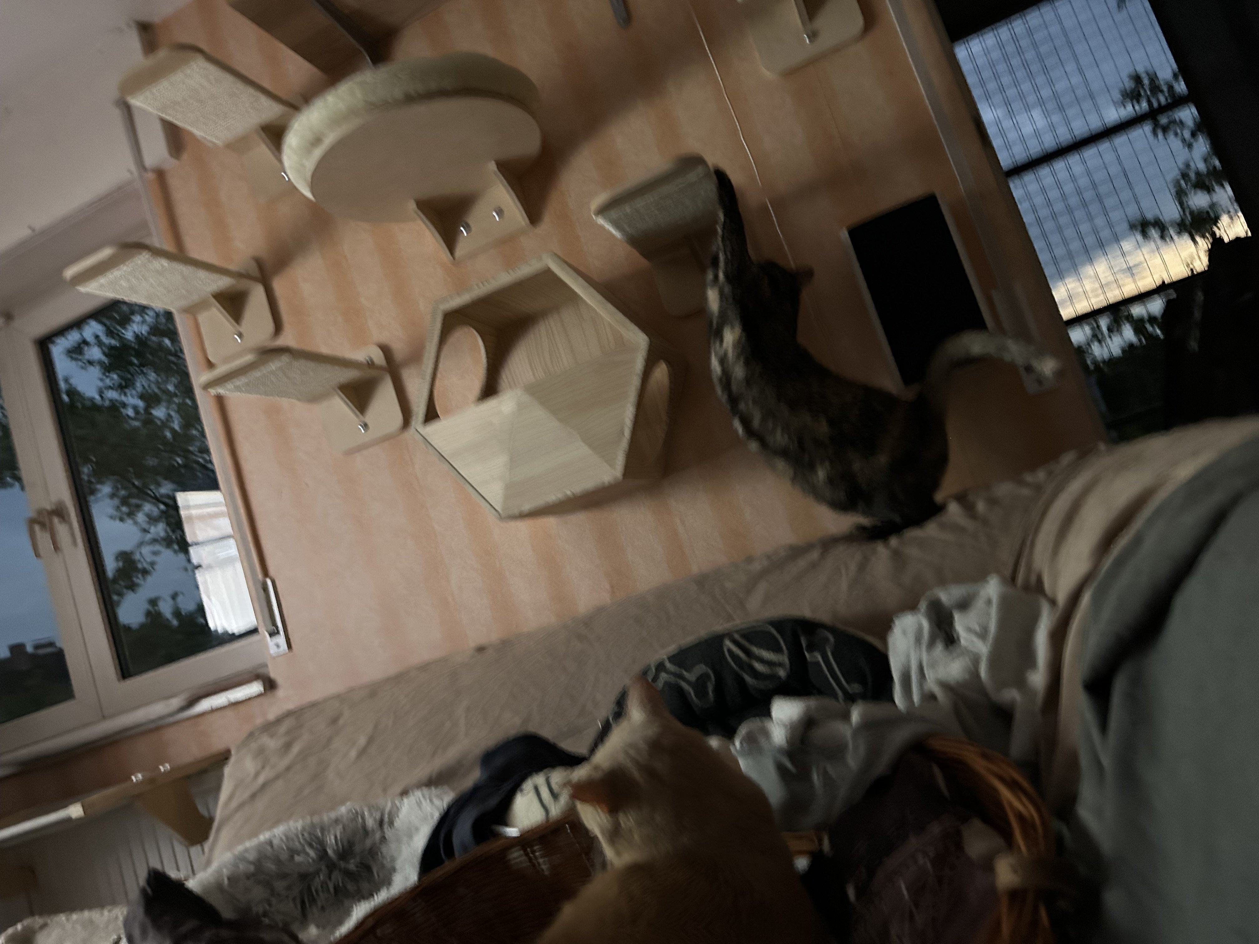 IMG_7109.jpeg