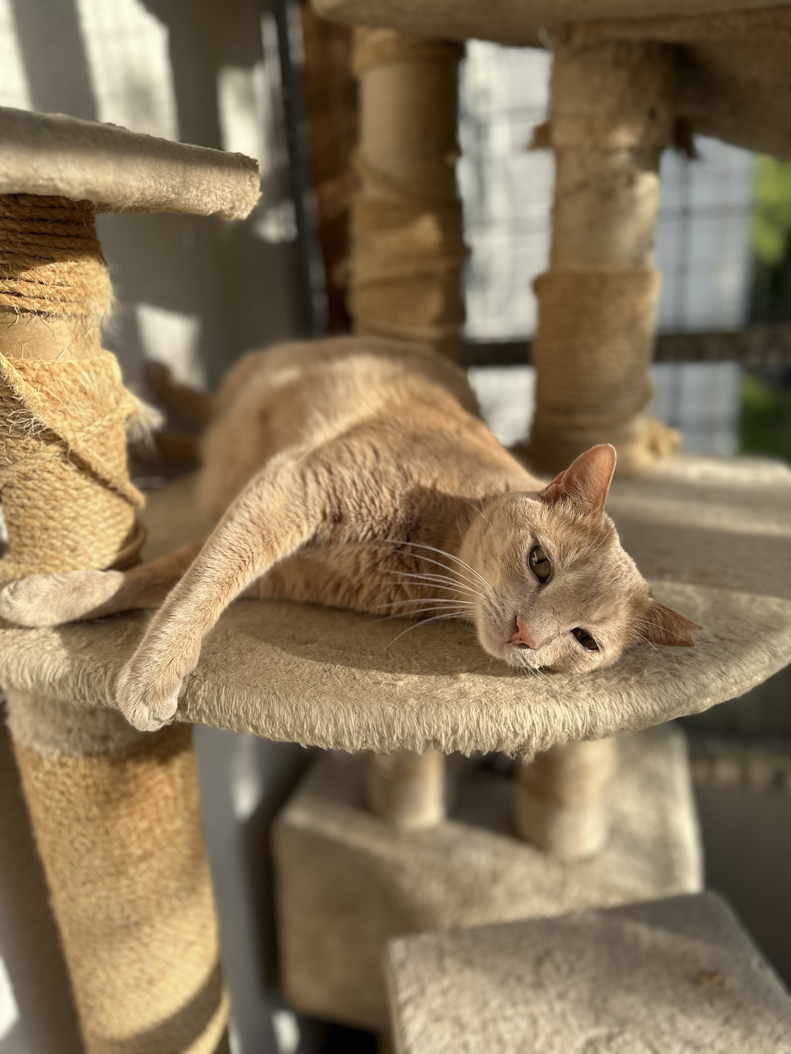 IMG_7230.jpeg