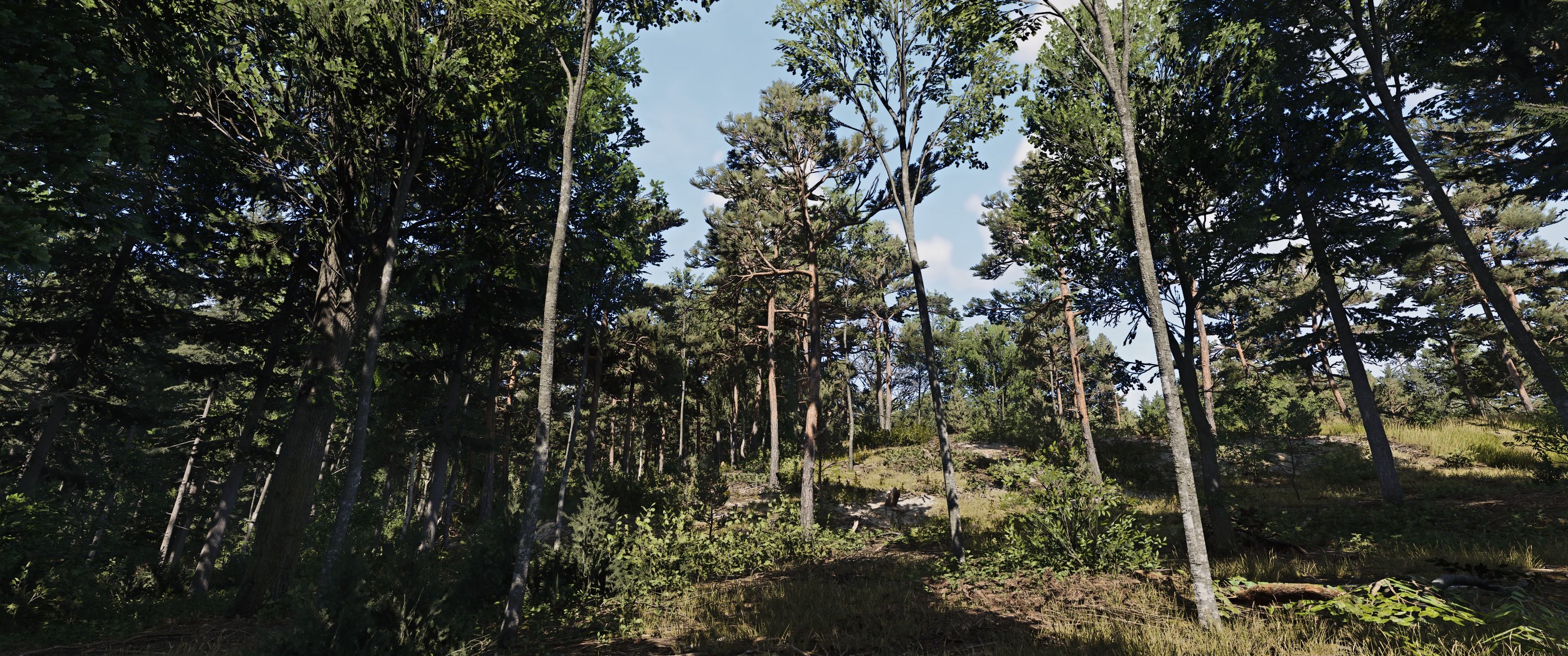 Kingdom Come_ Deliverance II 15.03.2025 22_52_27.jpeg