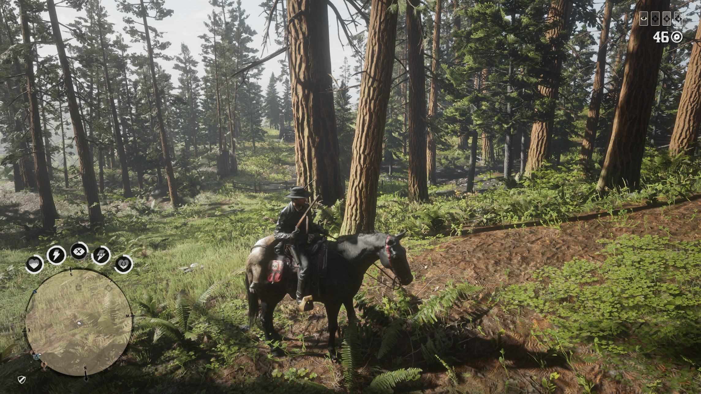 RDR2 Screen Puma.jpg