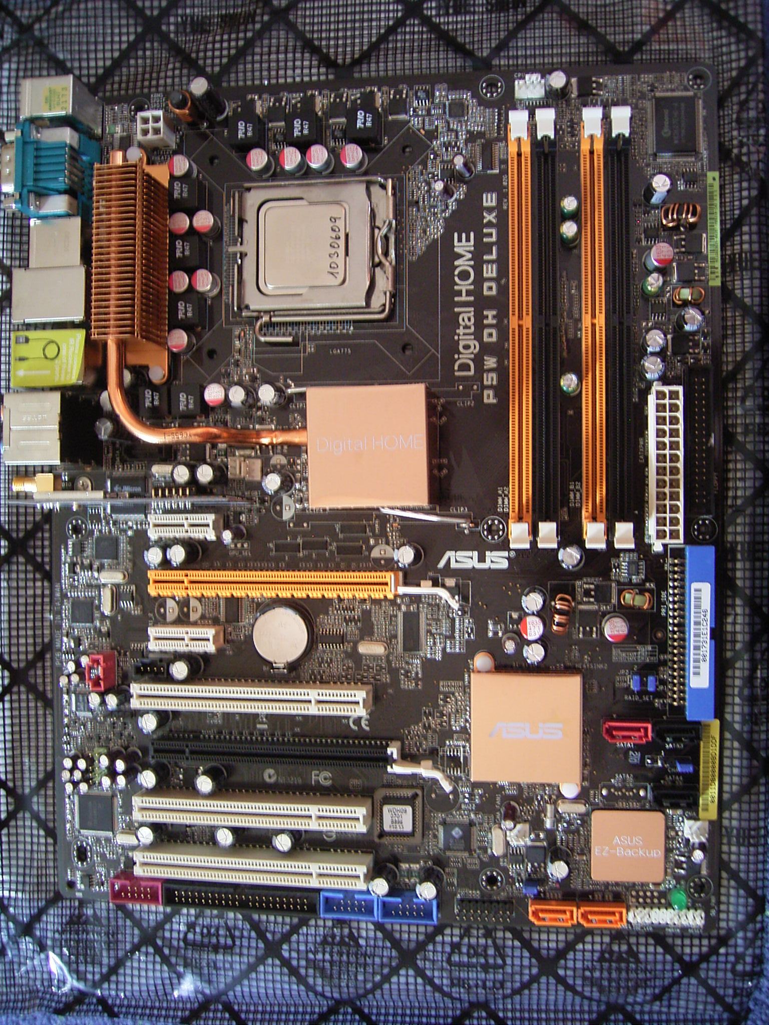 RIMG0033.JPG