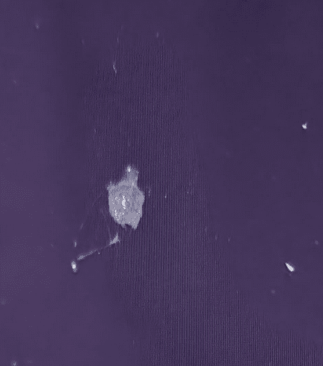 Screenshot 2025-07-26 150350.png