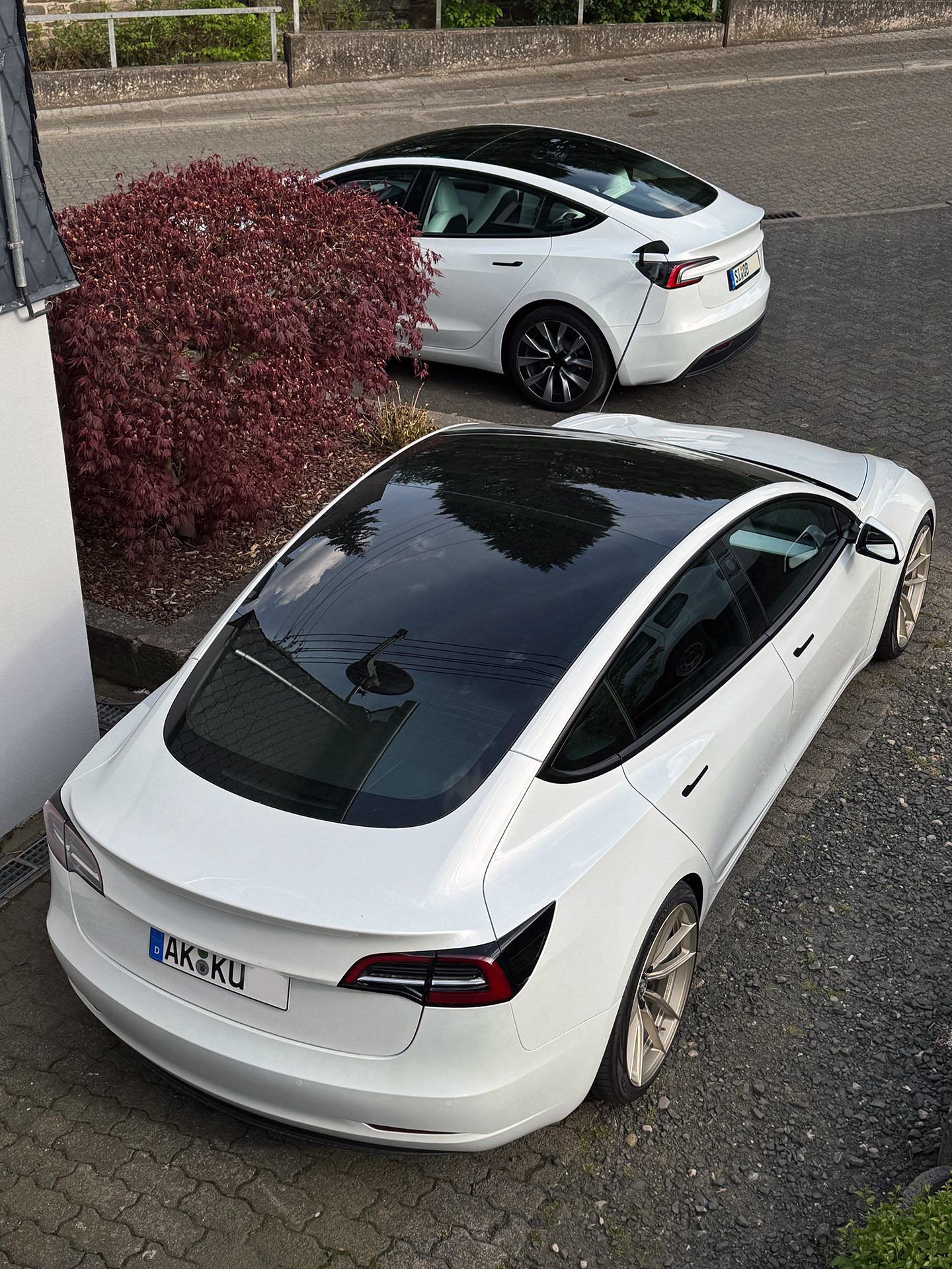 Tesla everywhere.jpg