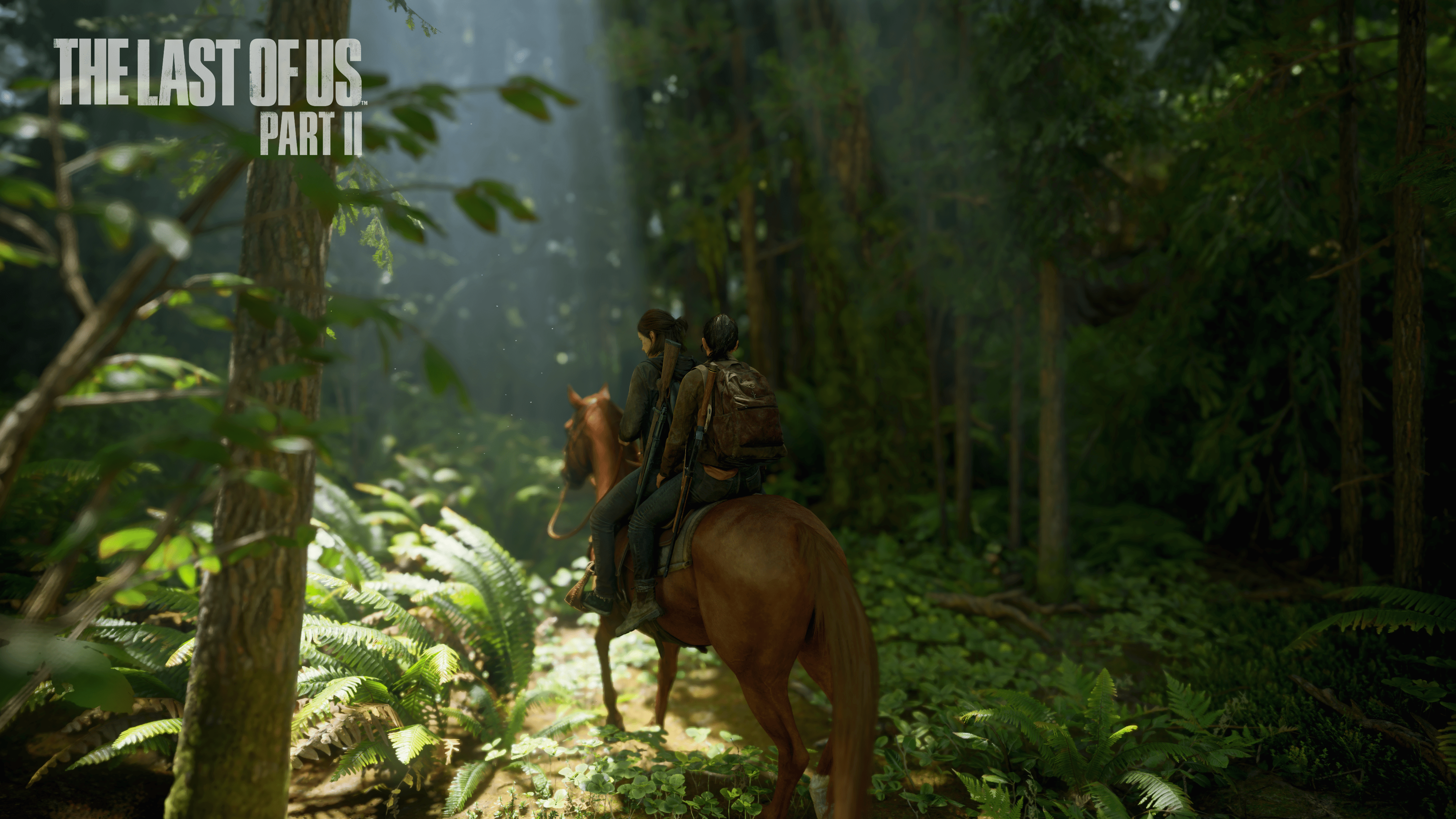 tlou-ii_2025_04_06_21_30_53_983.png