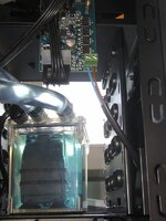 Eheim_10797.jpg