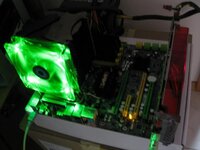 IMG_1135_2.JPG