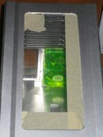 IMG_1151_2.JPG