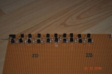DSC_0077ee.jpg