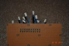 DSC_0089.jpg