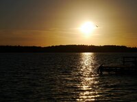 P1000024.jpg