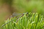 IMG_1504.jpg