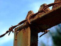 Rost.jpg