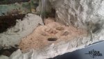 20160807_122518.jpg