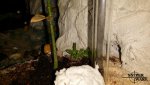 20160810_061344.jpg