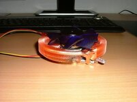 DSCF1159.JPG