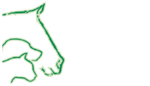 Schoenauer_KopfLogo70x40mm.png