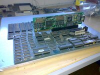 13032007058.jpg