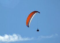 DSCF0995_b.jpg
