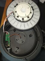 IMG_20210822_093128.jpg