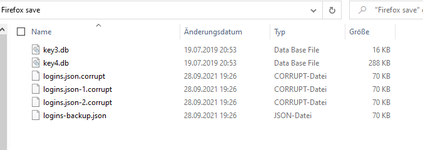 explorer_firefox_PW_dateien.png