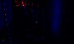 IMAG0275.jpg