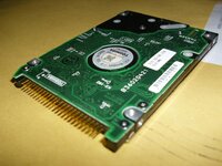 DSCI0023.jpg