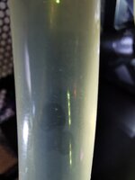 IMG_20220608_113222.jpg