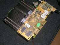 MX440_Heidi3.JPG