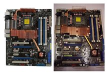 maximus_and_rampage.jpg