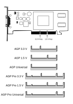 IMG_0056.png