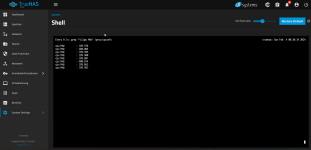 Truenas_Idle.png