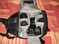 comp_DSC01338.jpg