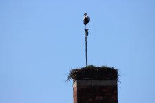IMG_7748.jpg