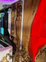 IMG_9355.JPEG