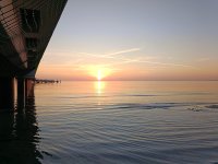 IMG20250328060817.jpg